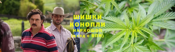 сатива Вяземский