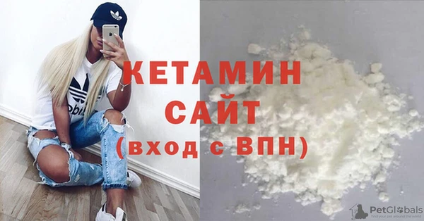 сатива Вяземский