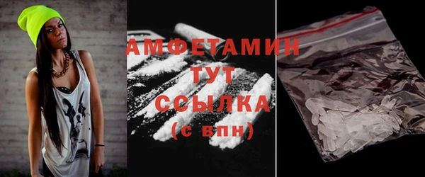 сатива Вяземский