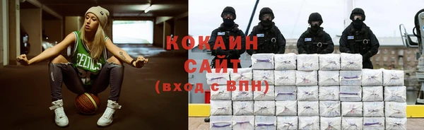 сатива Вяземский