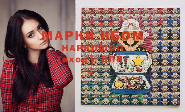 сатива Вяземский