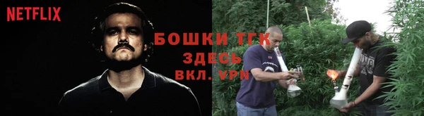 сатива Вяземский