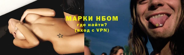 сатива Вяземский