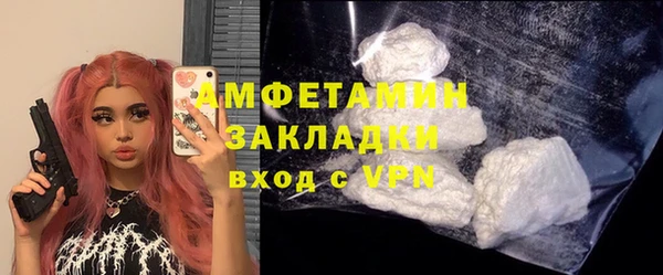 сатива Вяземский