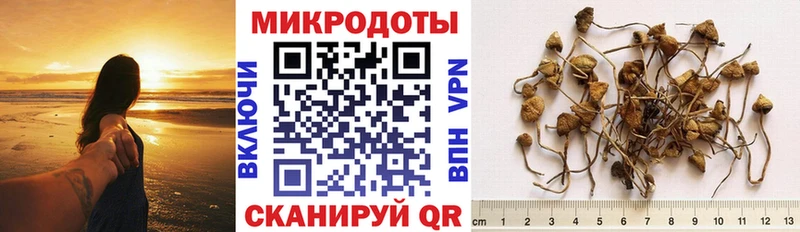 Галлюциногенные грибы мухоморы  Купить где  Солнечногорск 
