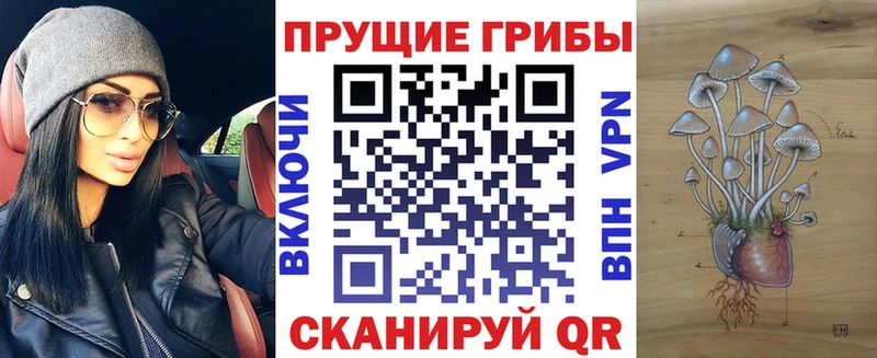 Галлюциногенные грибы мицелий Солнечногорск