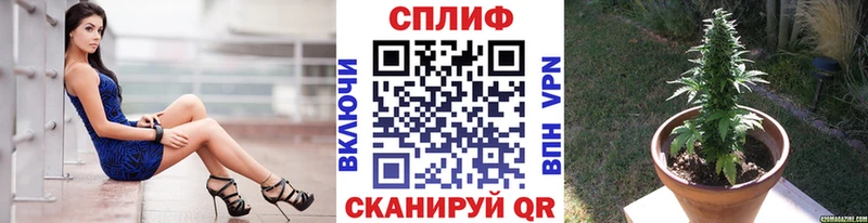 Купить где  Солнечногорск  Канабис AK-47 